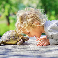La técnica de la tortuga: cómo ponerla en práctica con los niños para que aprendan a controlar sus impulsos