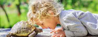 La técnica de la tortuga: cómo ponerla en práctica con los niños para que aprendan a controlar sus impulsos