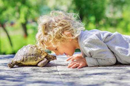 La técnica de la tortuga: cómo ponerla en práctica con los niños para que aprendan a controlar sus impulsos