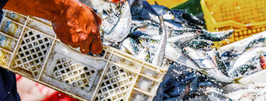 El pescado es el nuevo petróleo: cinco motivos por los que este alimento es un recurso cada vez más valioso 