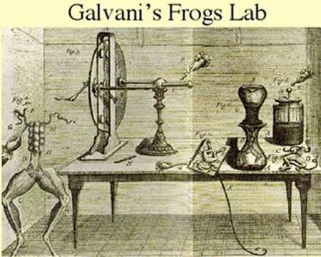 El experimento de Volta con las lenguas ácidas