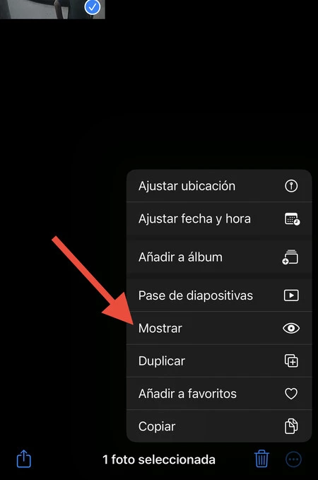 隠された写真 iPhone ショー