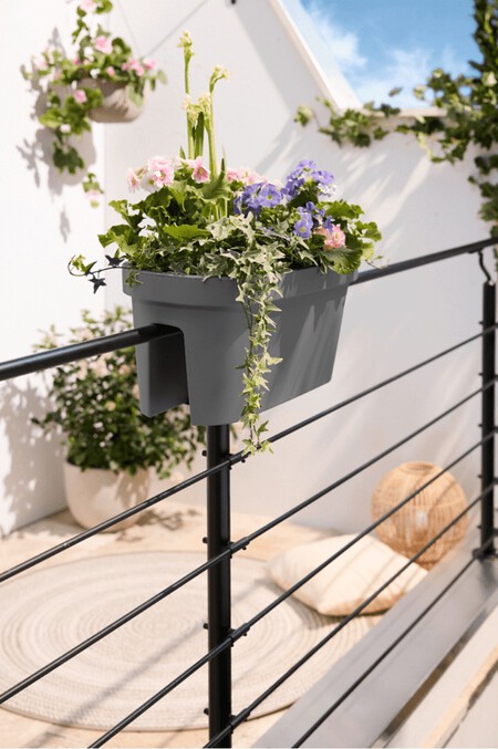 Maceta colgante Aldi