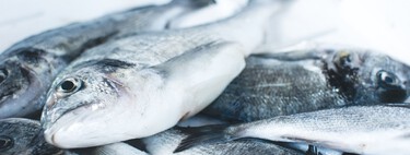 Como nutricionista, estos son los pescados que recomiendo por su concentración en nutrientes 