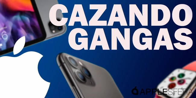 Cazando Gangas