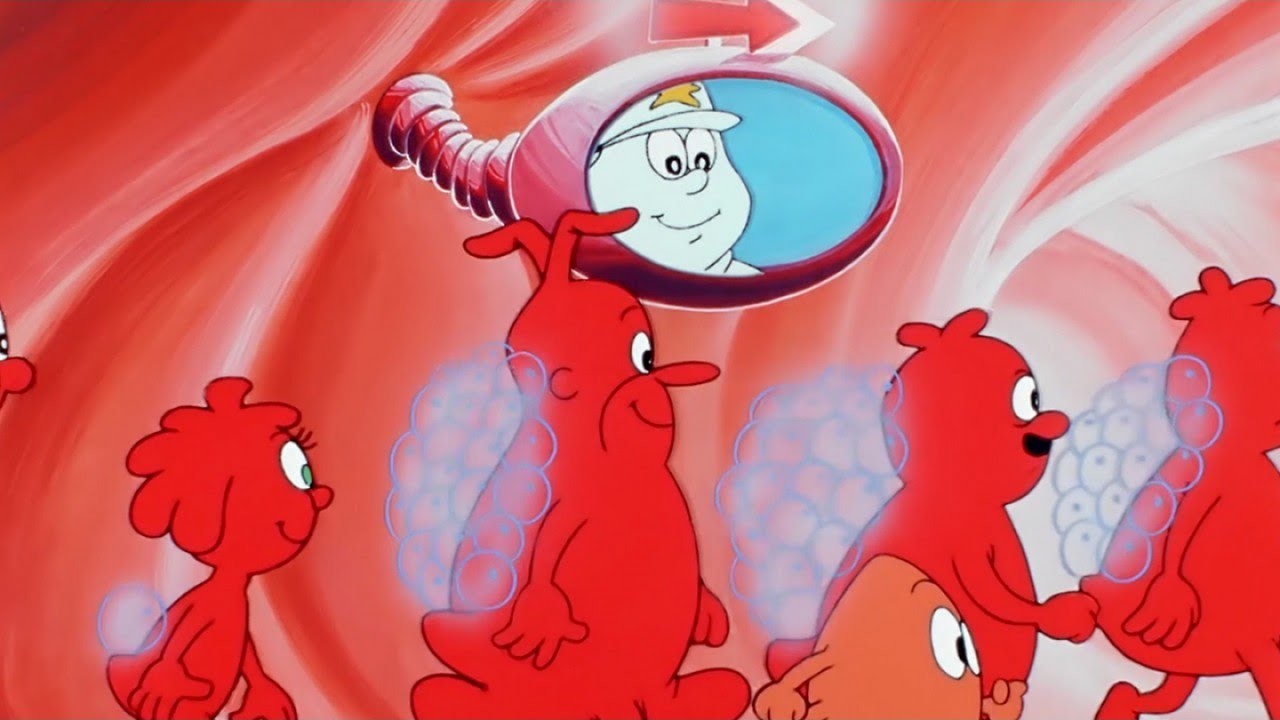 Globulos Rojos Erase Una Vez La Vida