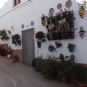 Este pueblo de Almería tiene más flores que habitantes y en primavera es cuando más bonito está