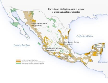 Mapa Anp Regiones Page 0001