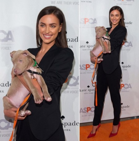 De la Irina Shayk solidaria con ASPCA a la más sexy, ¿con cuál nos quedamos?