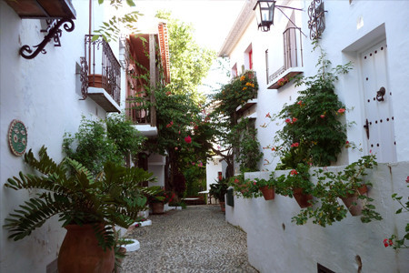 la virginia