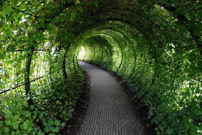 https://i.blogs.es/fa3f48/mw_poison_garden_tunnel/1366_2000.jpeg