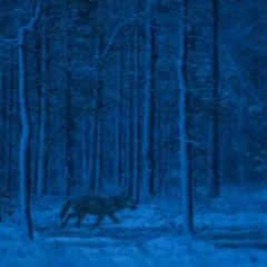 Foto 4 de 6 de la galería hasta-14 en Xataka Foto