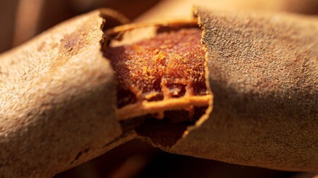 Si tienes cáscaras de tamarindo tienes un tesoro: 5 usos para aprovecharlas y evitar desperdicios