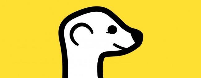 Meerkat