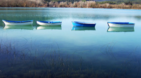 Parque Natural del Delta del Ebro