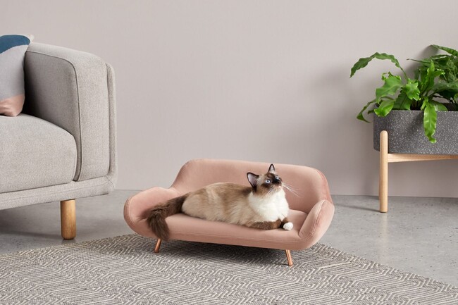 Camas para gatos