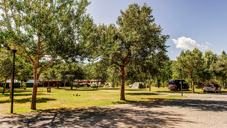 Covarrubias Burgos Eclipse Total 12 de agosto Camper