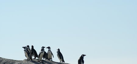 Distrochooser te ayuda a elegir la distribución Linux que más te conviene