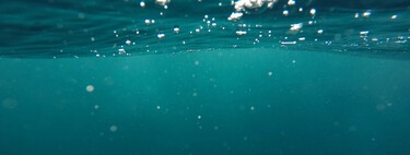 Researchers Discover an Anomaly at the Bottom of the Pacific Ocean. The Issue: They Don’t Know What It Is