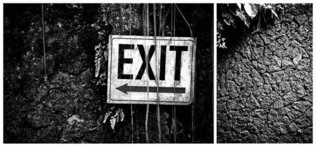Megaupload, Fileserve, Rapidshare... ¿destinadas a la muerte?