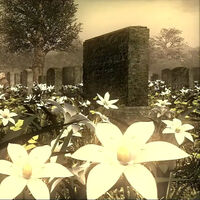 Este juego tiene una cinemática que dura casi lo mismo que una película: sí, es exclusivo de PlayStation  