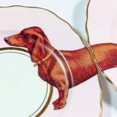 Foto 13 de 28 de la galería yvonne-ellen en Trendencias Lifestyle