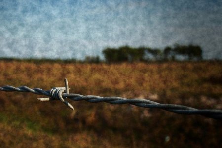 El Viejo Oeste, Internet y el alambre de espino