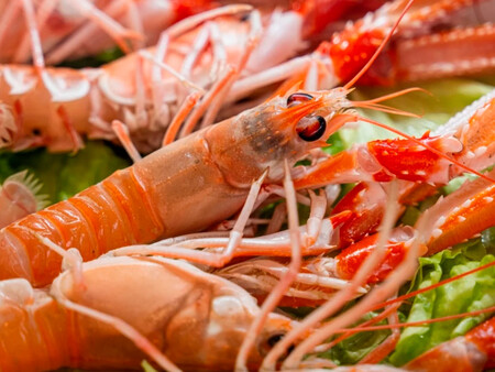 Cigalas De San Marcos