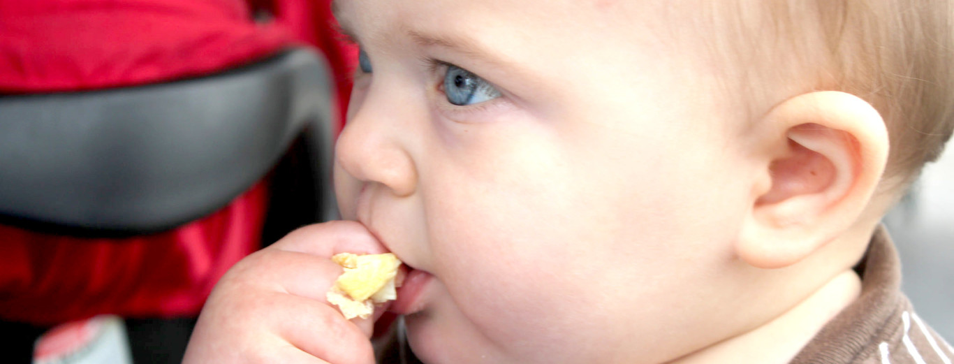 Sabias Que Los Ninos Pueden Empezar A Comer Huevo Con Seis Meses