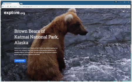 Ahora puedes mirar vídeos de la naturaleza en tiempo real desde Google Earth