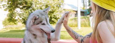 Da igual cuánto tiempo hace que tienes perro, también tendrás que pasar el nuevo curso obligatorio de la Ley de Bienestar Animal 