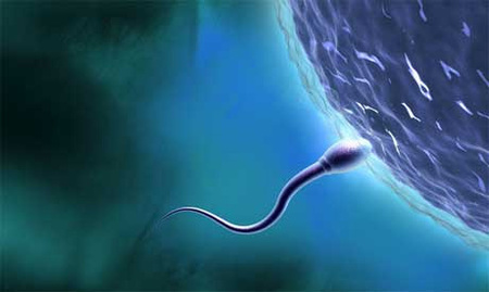 Los jóvenes españoles tienen un semen de mala calidad
