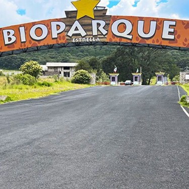Bioparque Estrella tiene entradas al 2x1: así puedes vivir un safari cerca de CDMX sin gastar de más