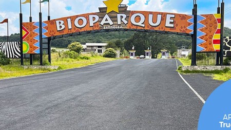 Bioparque Estrella tiene entradas al 2x1: así puedes vivir un safari cerca de CDMX sin gastar de más