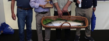 It's now official: Asturias is left without “campanu” for the first time in history because there are no salmon in the rivers