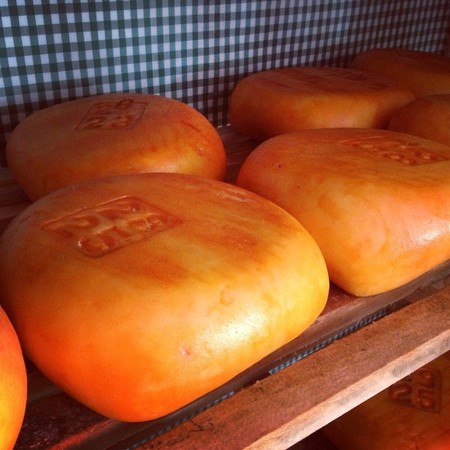 queso de mahon