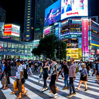 En Japón hay tantos turistas que el gobierno ha tomado una decisión insólita: ha empezado a pedirles que se vayan al campo