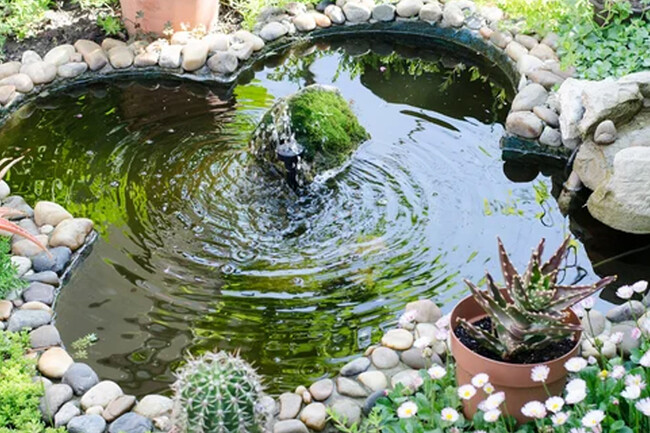 A Los 14 Anos Una Adolescente Cavo Un Lago Por Un Proyecto Escolar Y No Imagino Que 9 Anos Despues Los Animales Transformarian El Lugar En Un Pequeno Ecosistema