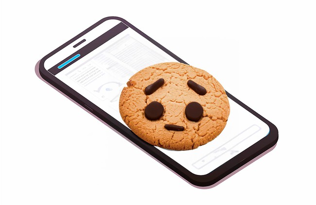 Portada Cookies Navegador