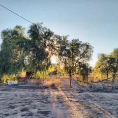 Foto 5 de 20 de la galería wiko-u-feel-prime-2 en Xataka Android