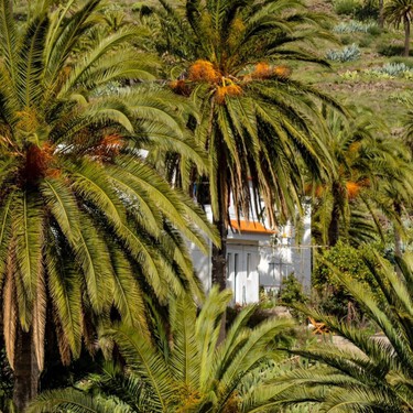 El Bali español existe y tenemos la prueba: un pueblo tradicional y selvático que los turistas han olvidado