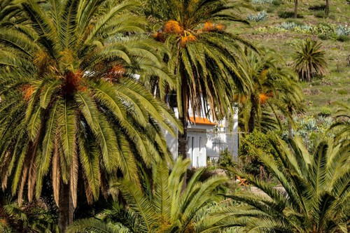 Pueblo Bonito Desconocido Selva Bosque España