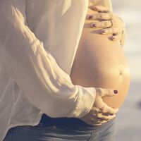 El embarazo es contagioso: la ciencia la confirma