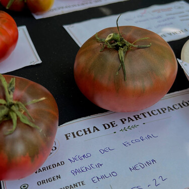 Una antigua variedad de El Escorial (Madrid) se alza con el premio al mejor tomate de España 