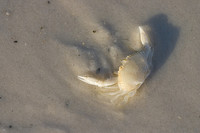 La competitividad española en claro retroceso