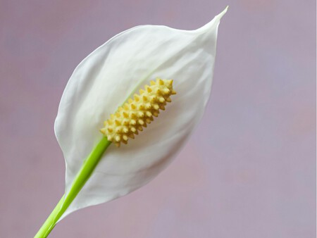 Diseno Sin Titulo 24