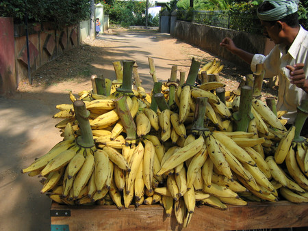 El plátano macho: un ingrediente para platillos dulces y salados