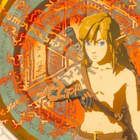 Encontrar bugs en Zelda Tears of the Kingdom es tan complicado que se ha formado un grupo internacional de cazadores de glitches para documentarlos 