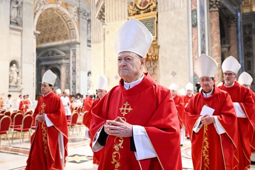 Cardenales