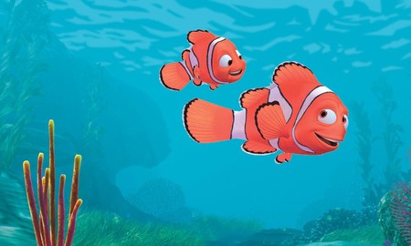 Series Peliculas Paternidad Nemom